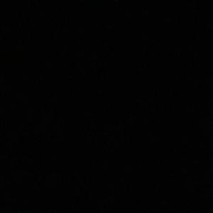 Meet your Posher, Emilie